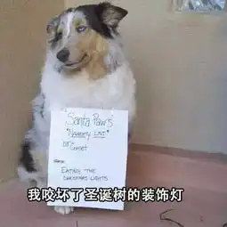 爱上这个表情
