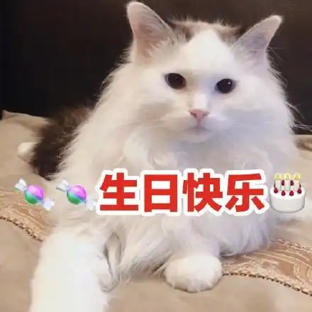生日快乐表情包猫咪图片版13张
