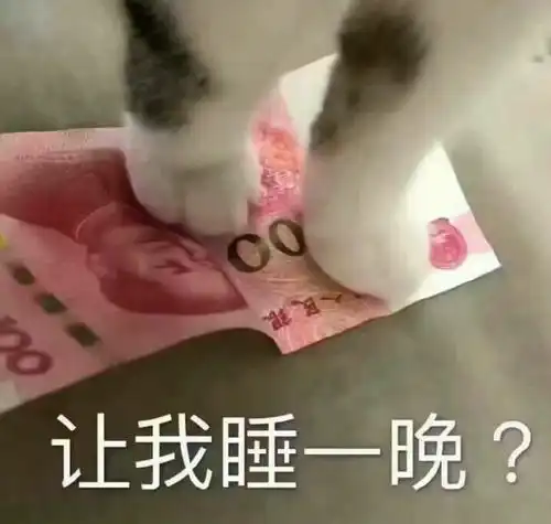 有没有适合和女朋友聊骚的表情包
