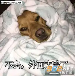 你好我是雇佣兵表情包图片不去外面太冷了表情包下载乐游网游戏下载
