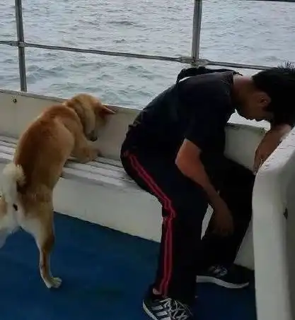 20张搞笑图片,千万不要在临睡觉之前观看
