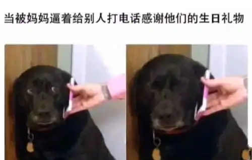 无标题
