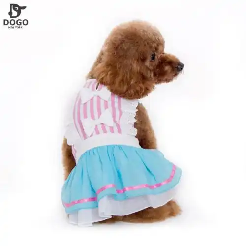 2016夏dogo都会狗新款女仆裙狗狗搞笑衣服宠物服饰贵宾比熊
