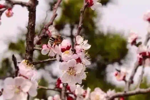 善良的人总是快乐,感恩的人总是知足
