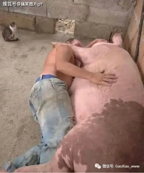 搞笑图片哈哈这老哥,昨晚得喝多少酒啊
