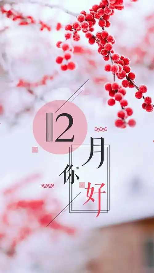 12月你好,朋友圈文案首选,值得收藏
