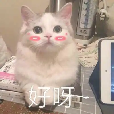 沉闷的冬天,跟着程潇杨幂尝试挑染,发色这么玩,让你个性十足