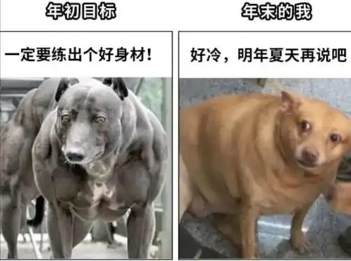 搞笑趣图用一张图测速一下你缺不缺钱
