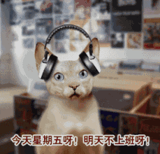 做四休三真的锅要来了消息一出网友就炸开了
