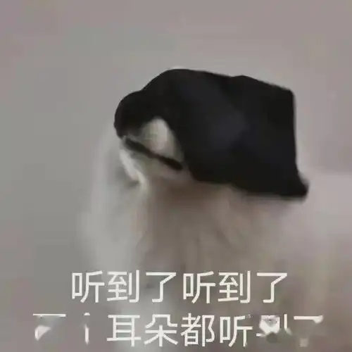 叮这有一份寒假实践注意事项等你查收
