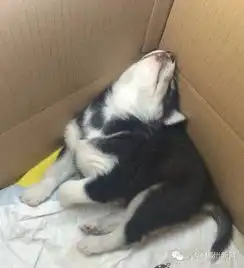 郴州忽然一周130