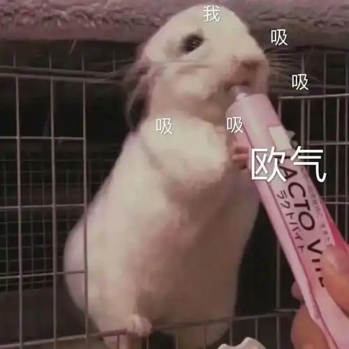 幽默搞笑表情包现在谈恋爱要求真高,还要要求单身
