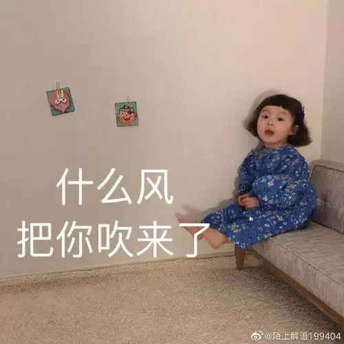 怎么去查文献
