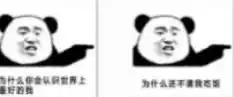 你为什么单身表情包下载最新版不习惯去与其他人一起生活科威软件园

