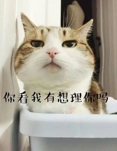 各位男朋友们,别再只会说多喝热水啦送这些帮她拥有暖冬
