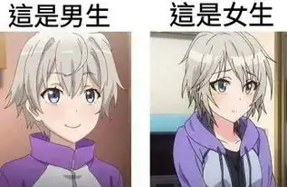 寒刃2装备搭配攻略
