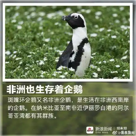 这些有趣的动物界里的冷知识你知多少
