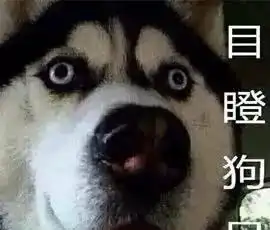 二哈搞笑表情大集合,确认过表情,血统都很纯正
