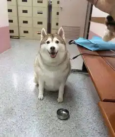 晒手机里最搞笑的一张照片看完笑晕过去...
