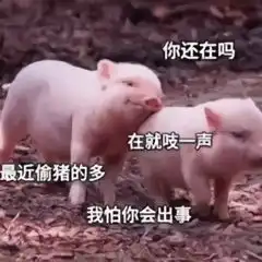 精选的可爱表情包合集来喽抱着所剩无几的财产,陷入人生的思考
