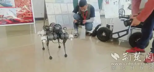 直播小课堂开机啦全国主流融媒带你速看武汉交通职业学院
