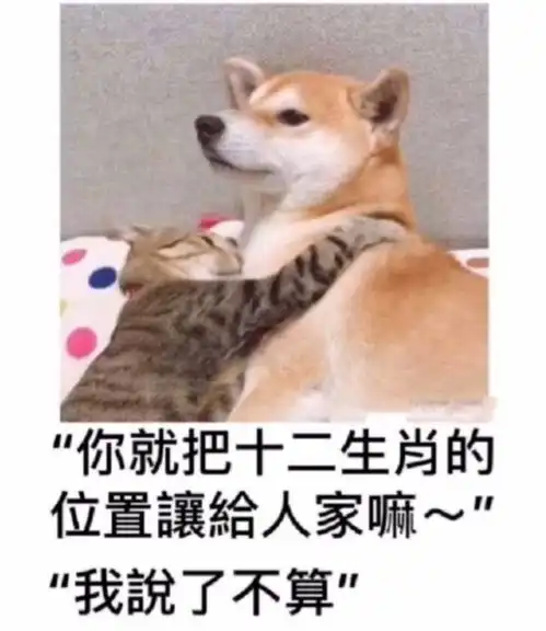 搞笑趣图从天堂到地狱,哥只是路过人间腾讯新闻
