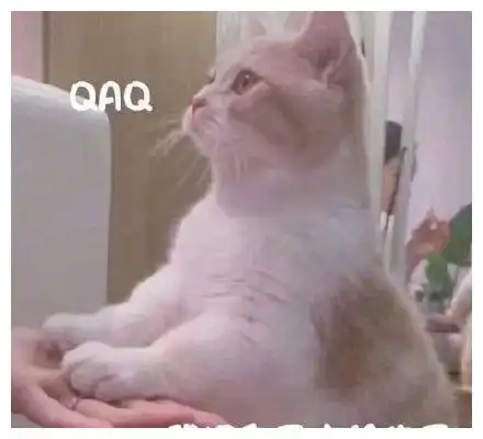 搞笑图片小时候看到天上飞机飞过,特别激动,在地上冲着飞机喊
