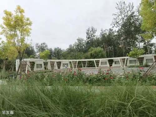 推荐酒仙桥家门口小众公园,遛弯锻炼太棒了
