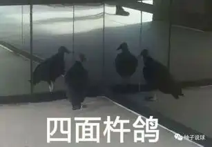 240的逆转威少这转变太厉害了
