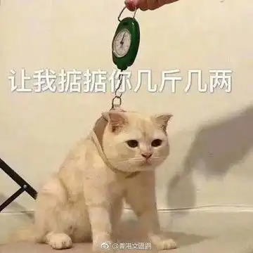 我的收藏