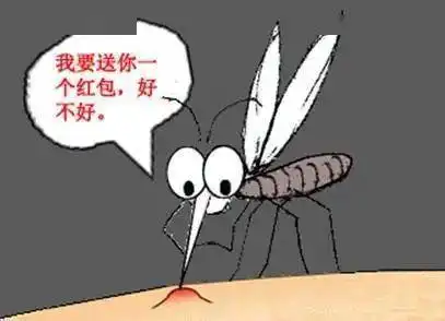 一只蚊子的自述
