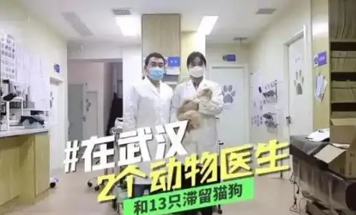 它们的遗体被冰冻,只为能让主人再看上一眼
