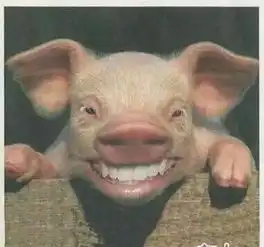 求一张搞笑图片一张猪脸在笑,露出洁白整齐的牙齿
