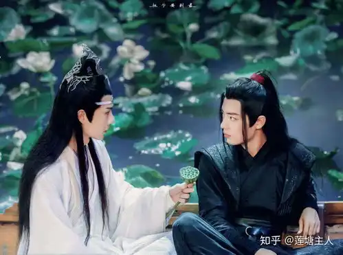 我是怎样出坑陈情令
