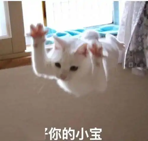 学生活动理学院新生班赛圆满落幕
