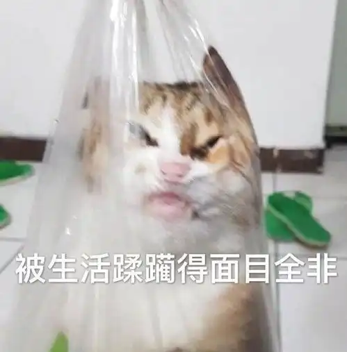 可爱表情包图片好搞笑大全
