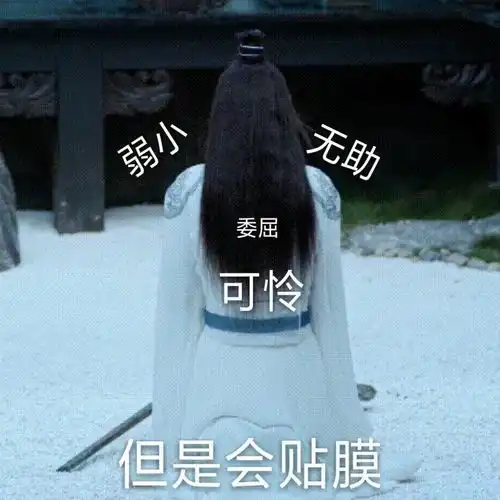 抖音陈情令表情包分享
