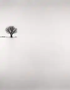 极简诗意,醉在山水间
