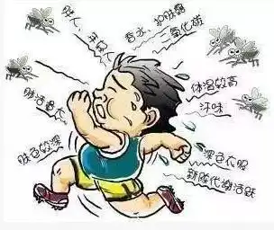 在人群里,为什么蚊子最喜欢咬你
