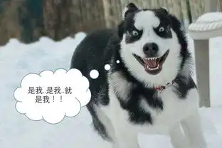 有一种痛,只有近视汪才懂
