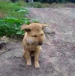 哈哈哈哈哈哈哈你绝对笑朋友圈爆笑的春节图片集合
