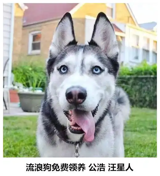 这就是睡前喝多了,睡后控制不住自己的你
