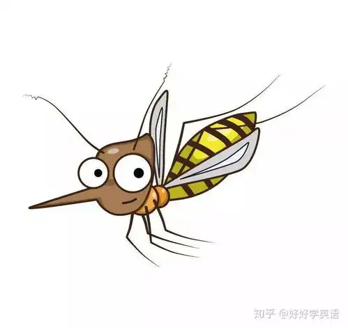 为什么被蚊子咬的总是你科学家可能和这些因素有关

