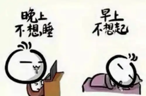 揭秘大学生假期生活
