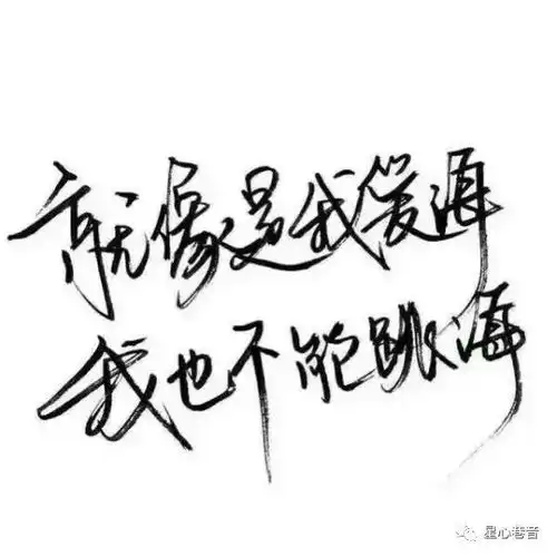涂磊经典语录,送给在爱路迷茫的人儿
