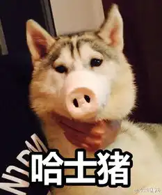 哈士星人图片集下载哈士星人来袭9张搞笑腾牛下载

