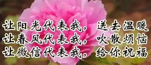 亲爱的群友们早上好送你10句话10首歌10张图太美了放到圈子里朋友会爱死你
