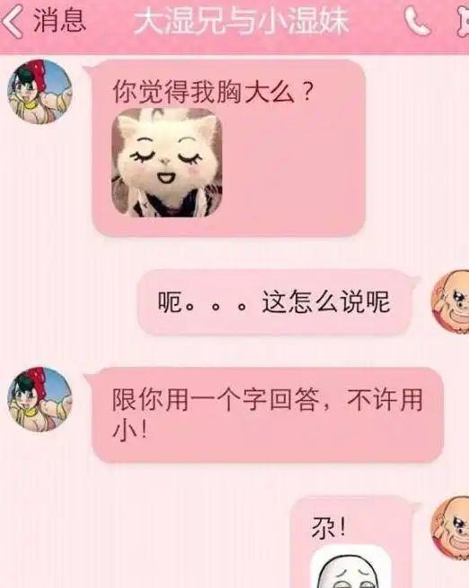 搞笑聊天记录媳妇让我用一个字回答她的胸大不大,这回复绝了
