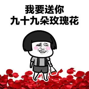 我要送你99朵玫瑰花

