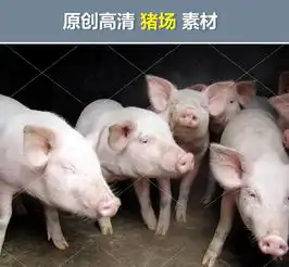 猪肉农村农业农民小花猪母猪屠宰场猪圈生猪图片素材模板下载1.35mb其他大全标志丨符号
